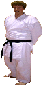 Norbert Lang Karate Trainer Kampfkunst Verein in Kall